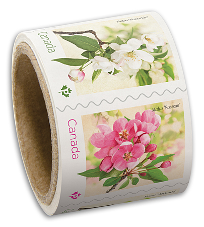 Coil of 50 stamps - Crabapple Blossoms