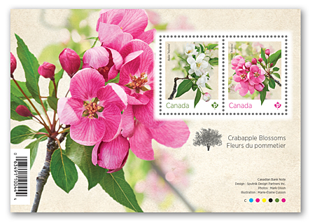 Souvenir sheet of 2 stamps - Crabapple Blossoms